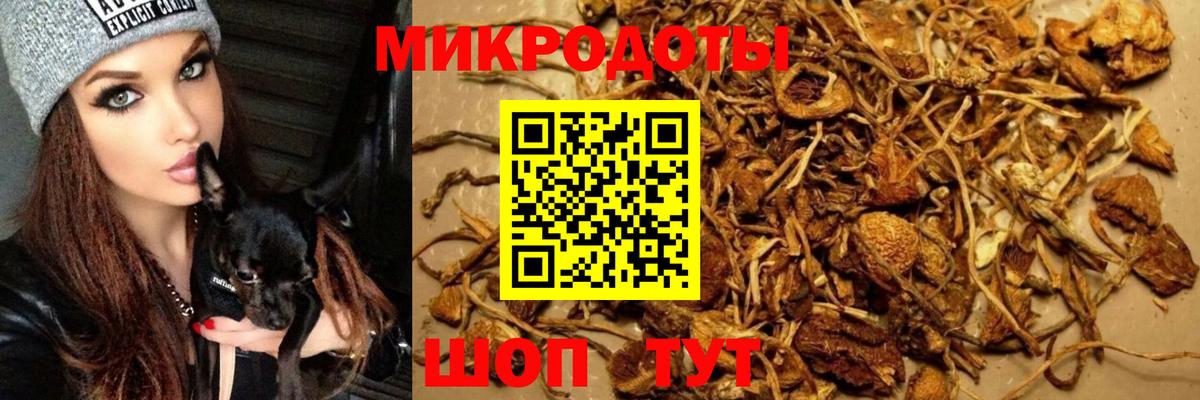 Псилоцибиновые грибы прущие грибы Лесосибирск