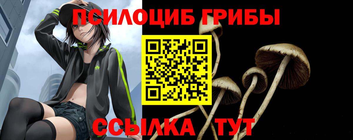 Лесосибирск  Галлюциногенные грибы мицелий  Вход с VPN 